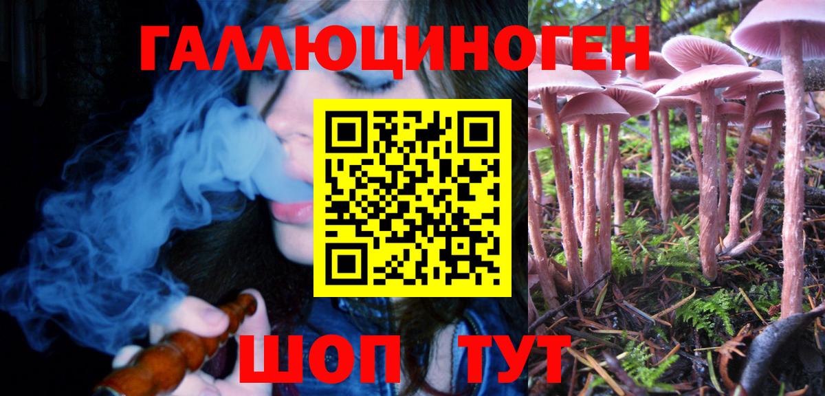Псилоцибиновые грибы Cubensis Саратов